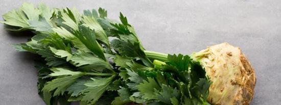 7个多吃芹菜根的健康理由