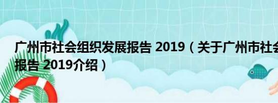 广州市社会组织发展报告 2019（关于广州市社会组织发展报告 2019介绍）