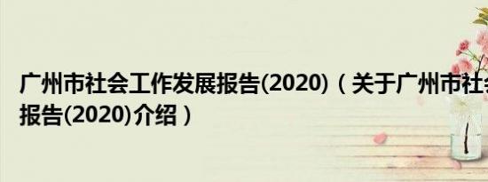 广州市社会工作发展报告(2020)（关于广州市社会工作发展报告(2020)介绍）
