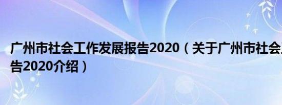广州市社会工作发展报告2020（关于广州市社会工作发展报告2020介绍）